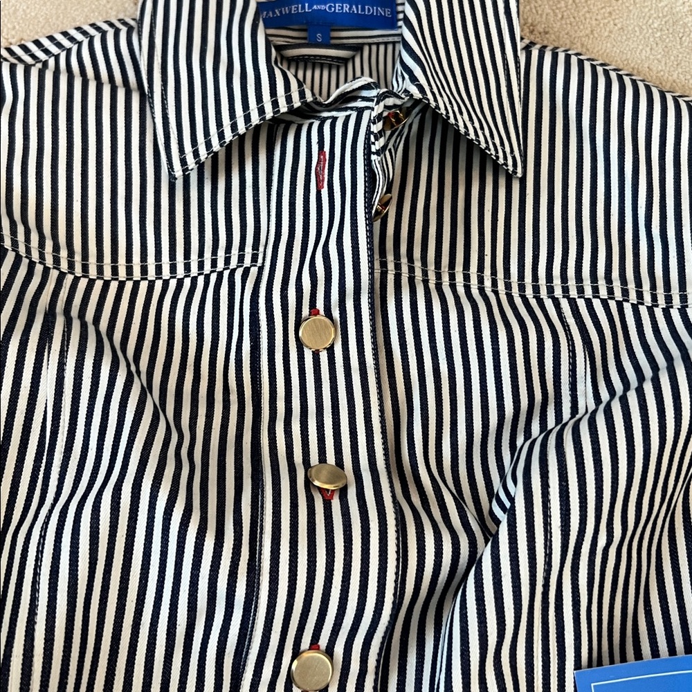MAXWELL AND GERALDINE ERIN SHIFT DRESS Small NWT - Picture 4 of 7